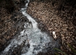 Acqua solforosa nei pressi di Tramutola